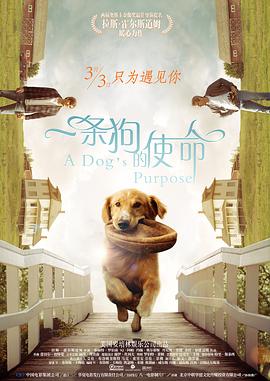 性导航app精品视频